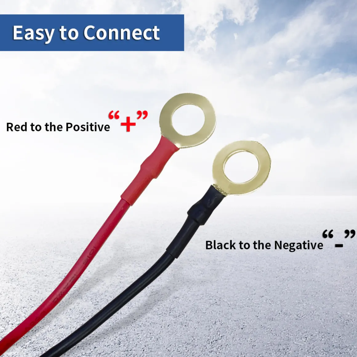 LED Pods Wiring Harness with DT Connectors - 2 Leads