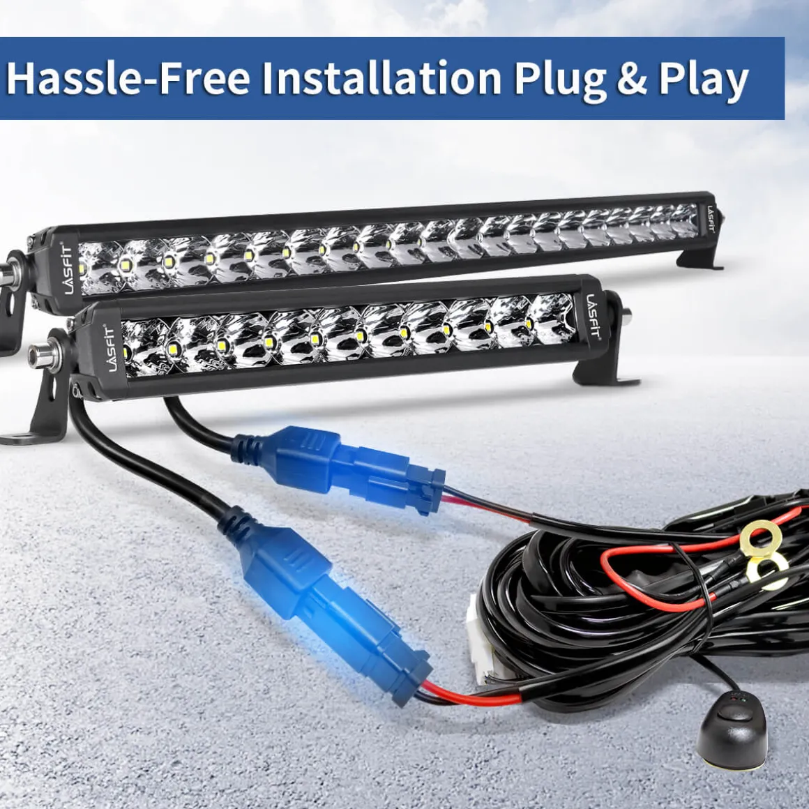 Wiring Harness with DT Connectors - 2 Leads