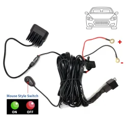 Wiring Harness with DT Connectors - 2 Leads