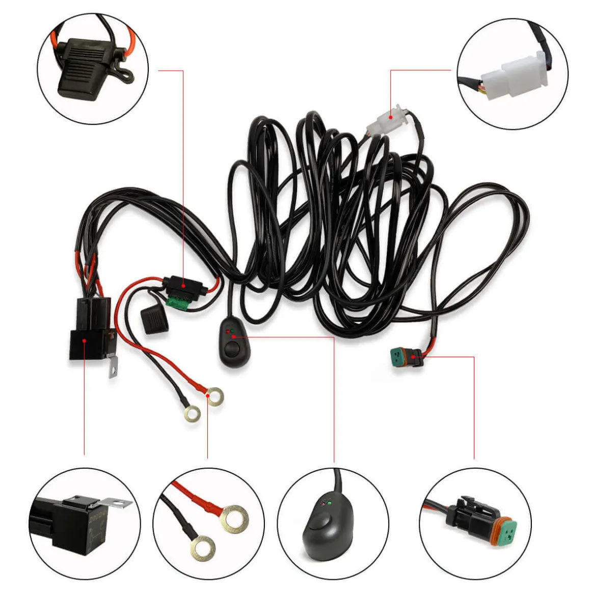 Wiring Harness with DT Connectors - 2 Leads